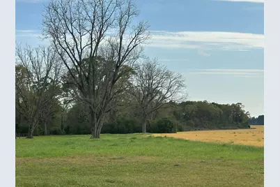 10+/- Ac Vinson Ray Road, Baker, FL 32531 - Photo 7