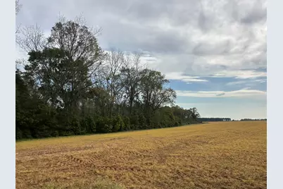 10+/- Ac Vinson Ray Road, Baker, FL 32531 - Photo 3