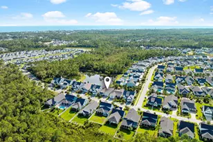 260 Log Landing St, Inlet Beach, FL 32461 - Photo 3