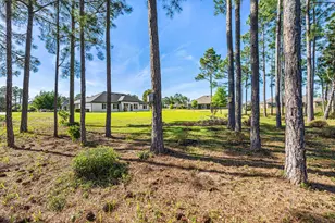 492 E Club House Dr, Freeport, FL 32439 - Photo 61