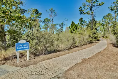 689 Flatwoods Forest Loop, Santa Rosa Beach, FL 32459 - Photo 61