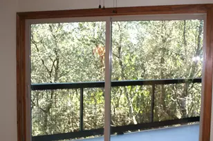 113 Gulf Point Rd, Santa Rosa Beach, FL 32459 - Photo 25
