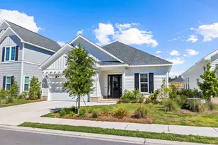120 Suwannee Dr, Inlet Beach, FL 32461 - Photo 49
