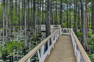 30 Cypress Rdg, Santa Rosa Beach, FL 32459 - Photo 53