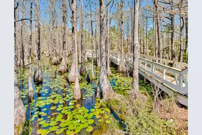 30 Cypress Ridge, Santa Rosa Beach, FL 32459 - Photo 69