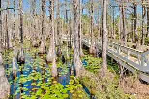 30 Cypress Rdg, Santa Rosa Beach, FL 32459 - Photo 69