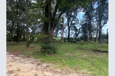 423 E Tedder Road, Defuniak Springs, FL 32433 - Photo 15