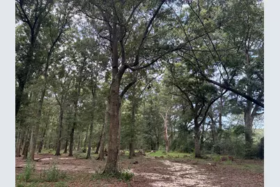 423 E Tedder Road, Defuniak Springs, FL 32433 - Photo 19
