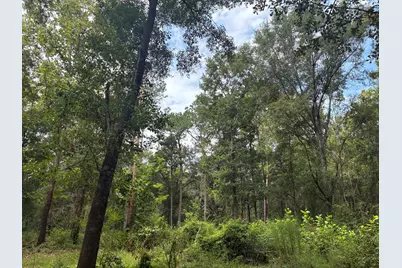 423 E Tedder Road, Defuniak Springs, FL 32433 - Photo 41