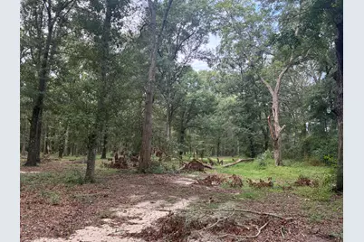 423 E Tedder Road, Defuniak Springs, FL 32433 - Photo 21