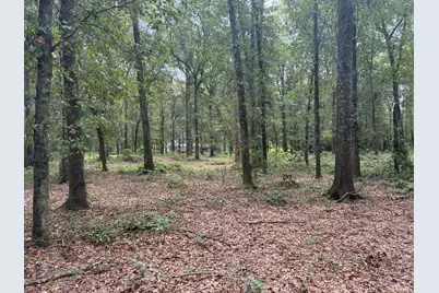 423 E Tedder Road, Defuniak Springs, FL 32433 - Photo 43
