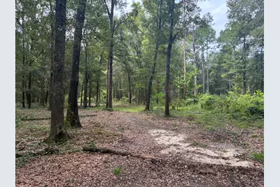 423 E Tedder Road, Defuniak Springs, FL 32433 - Photo 39