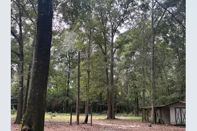 423 E Tedder Road, Defuniak Springs, FL 32433 - Photo 49