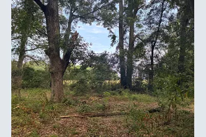 423 E Tedder Road, Defuniak Springs, FL 32433 - Photo 31