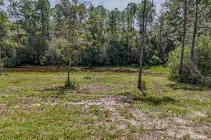 1092 10 Lake Dr, Defuniak Springs, FL 32433 - Photo 41