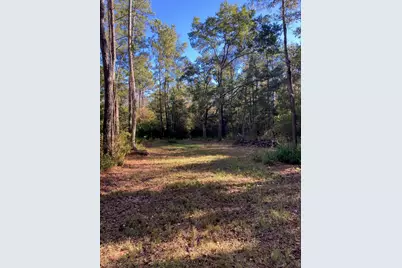 000 Jolly Bay Road, Freeport, FL 32439 - Photo 11