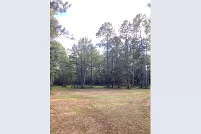 000 Jolly Bay Road #3, Freeport, FL 32439 - Photo 11
