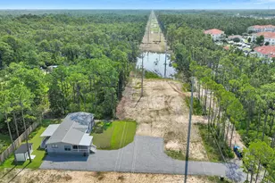 133 W Hewett Lodge Ln, Santa Rosa Beach, FL 32459 - Photo 1
