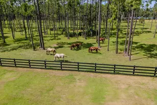 1657 Indian Woman Rd, Santa Rosa Beach, FL 32459 - Photo 31