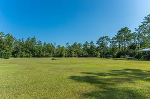 3005 Pipkin Rd, Bonifay, FL 32425 - Photo 49