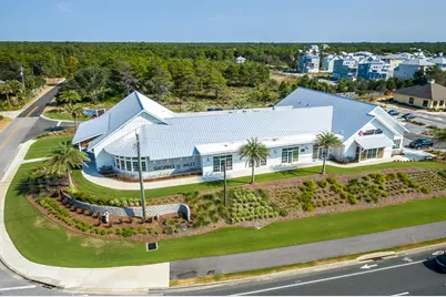 91 Beach View Drive, Inlet Beach, FL 32461 - Photo 59