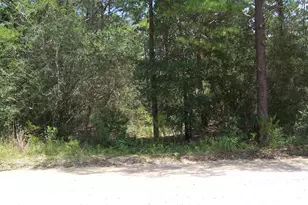 10 Ac Nowling Rd, Defuniak Springs, FL 32435 - Photo 1