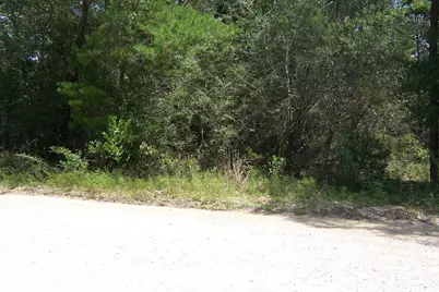 10 Ac Nowling Road, Defuniak Springs, FL 32435 - Photo 3