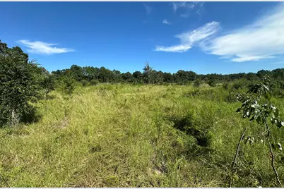 9+/- Ac Munson Hwy Road, Milton, FL 32570 - Photo 1