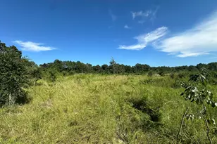 9+/- Ac Munson Hwy Rd, Milton, FL 32570 - Photo 1