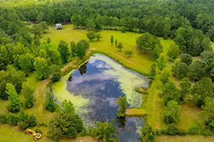 8365 Mountain City Rd, Baker, FL 32531 - Photo 3