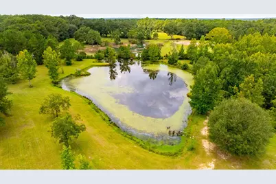 8365 Mountain City Road, Baker, FL 32531 - Photo 5