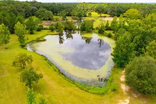 8365 Mountain City Rd, Baker, FL 32531 - Photo 5