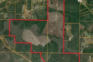 Tract#6418 N Mattox Springs Rd, Caryville, FL 32427 - Photo 1