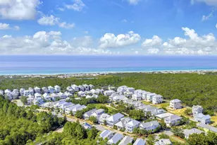 111 Cypress Walk, Santa Rosa Beach, FL 32459 - Photo 57