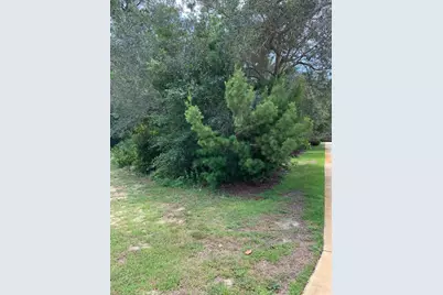 Lots 12&13 Shelter Cove Drive, Santa Rosa Beach, FL 32459 - Photo 5