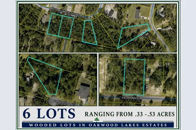 Xx Leonardo Lane, Defuniak Springs, FL 32433 - Photo 1
