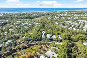 445 W Lake Forest Dr, Santa Rosa Beach, FL 32459 - Photo 35