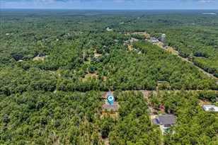 109 Spring Hill Rd, Defuniak Springs, FL 32433 - Photo 57