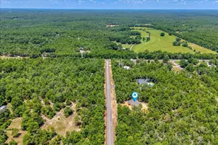 109 Spring Hill Rd, Defuniak Springs, FL 32433 - Photo 55