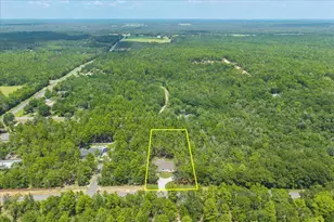 109 Spring Hill Rd, Defuniak Springs, FL 32433 - Photo 63