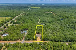 109 Spring Hill Rd, Defuniak Springs, FL 32433 - Photo 53