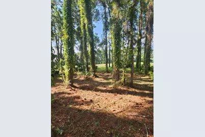 144 Indigo Loop, Miramar Beach, FL 32550 - Photo 5