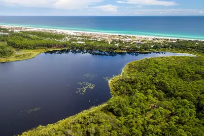 78 Twisted Pine Trail, Santa Rosa Beach, FL 32459 - Photo 123