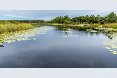 78 Twisted Pine Trail, Santa Rosa Beach, FL 32459 - Photo 117