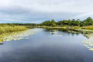 78 Twisted Pine Trail, Santa Rosa Beach, FL 32459 - Photo 117