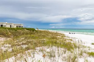 78 Twisted Pine Trail, Santa Rosa Beach, FL 32459 - Photo 111