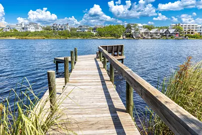 33 Camp Creek Point Drive, Inlet Beach, FL 32461 - Photo 109