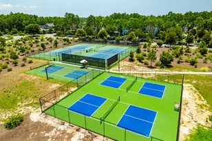 322 Jack Knife Drive, Watersound, FL 32461 - Photo 43