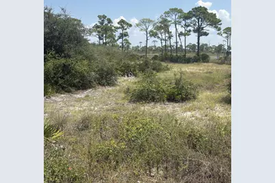 4746 Cape San Blas Road, Cape San Blas, FL 32456 - Photo 13