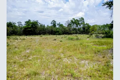 0000 Veterans Lane, Freeport, FL 32439 - Photo 1